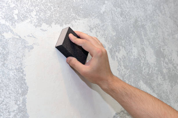 Best Mold-Related Health Consultation  in Harvard, IL