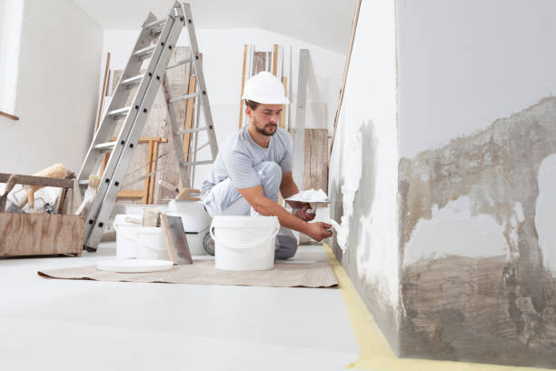  Harvard, IL Mold Removal Pros