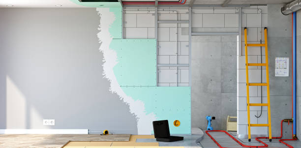 Trusted Harvard, IL Mold Removal Experts