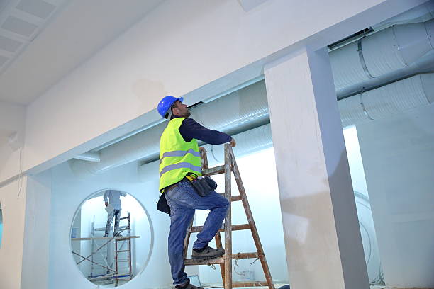 Best Mold Documentation for Insurance Claims  in Harvard, IL