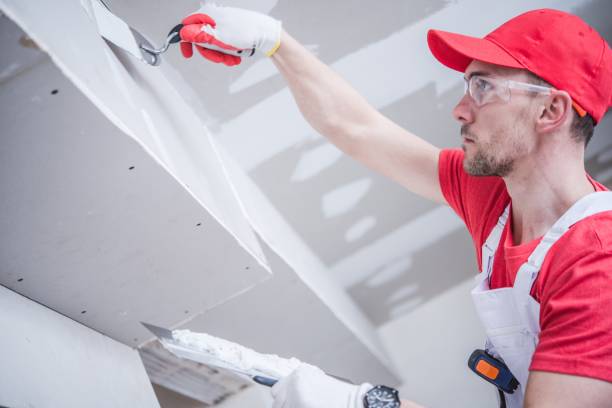 Best Air Quality Testing for Mold Spores  in Harvard, IL